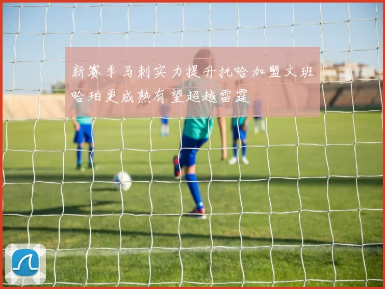 新赛季马刺实力提升托哈加盟文班哈珀更成熟有望超越雷霆