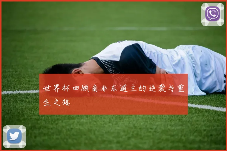 世界杯回顾南非东道主的逆袭与重生之路